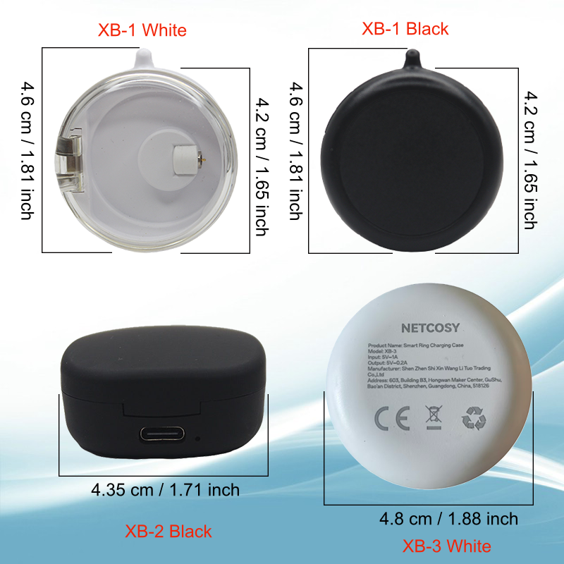 Estuche de Carga Magnético par - Magnetic Case Smart reseña y precio